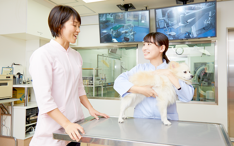 動物看護学科 2年制 大阪ペピイ動物看護専門学校