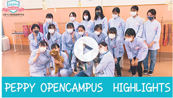 PEPPY OPENCAMPUS HIGHLIGHTS