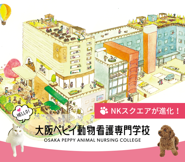 動物看護師をめざす動物看護の専門学校 大阪ペピイ動物看護専門学校