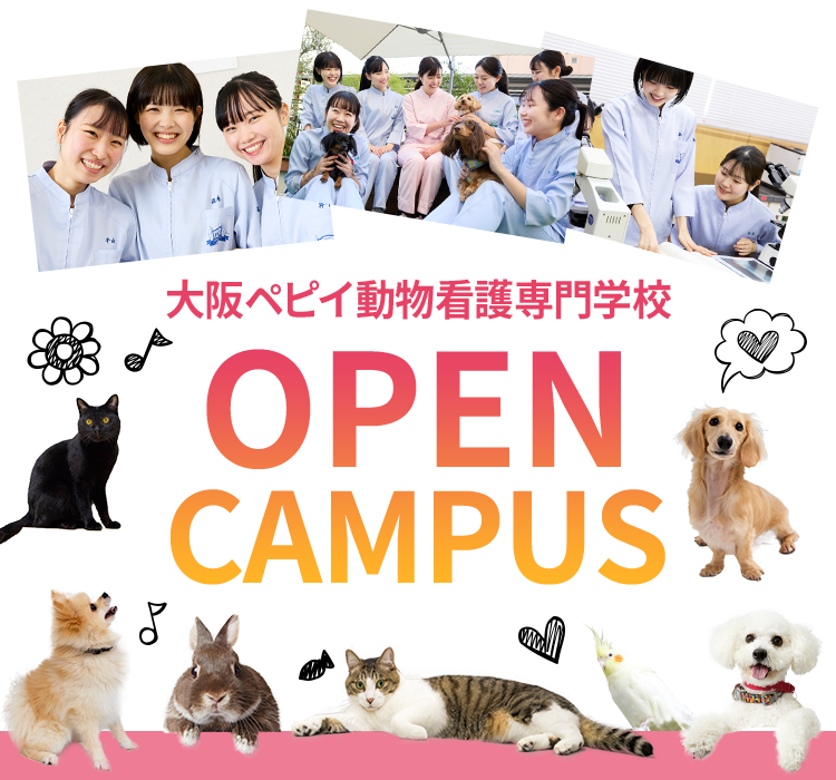 オープンキャンパス 大阪ペピイ動物看護専門学校